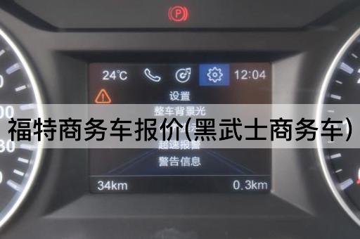 福特商务车报价(黑骑士商务车)