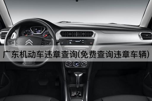 机动车违章查询(车辆违章信息查询)