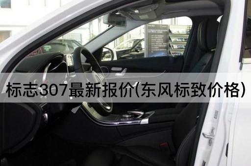 标志307最新报价(东风标致售价)