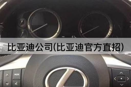 比亚迪公司(比亚迪官方招聘)