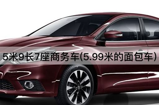 5米9长7座商务车(5.99米多功能面包车)