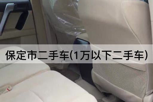 保定市二手车(1万以下二手车)