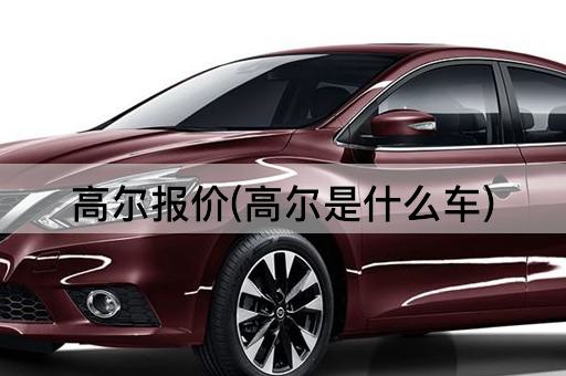 高尔报价(高尔是什么车)