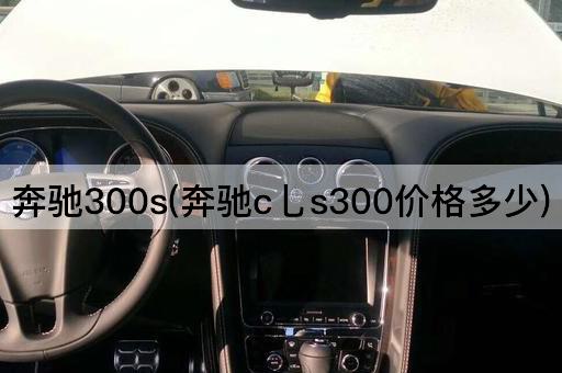 奔驰300s(奔驰c乚s300价格多少)