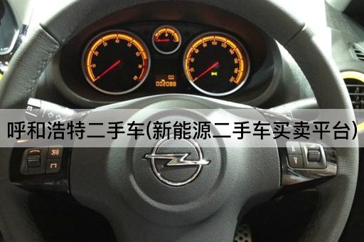 呼和浩特二手车(新能源二手车买卖平台)