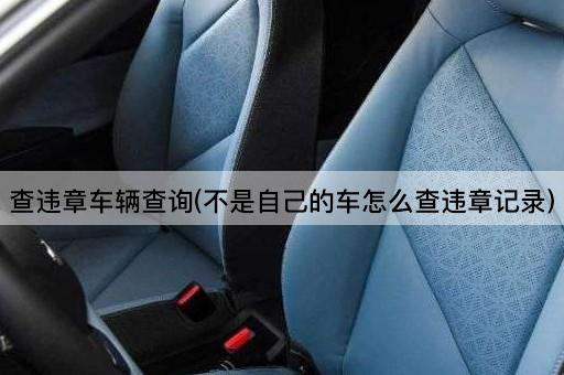 查违章车辆查询(不是自己的车怎么查违章记录)