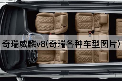奇瑞威麟v8(奇瑞各种车型图片)