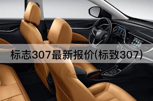 标志307最新报价(标致307)