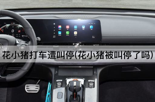花小猪打车遭叫停(花小猪被叫停了吗)