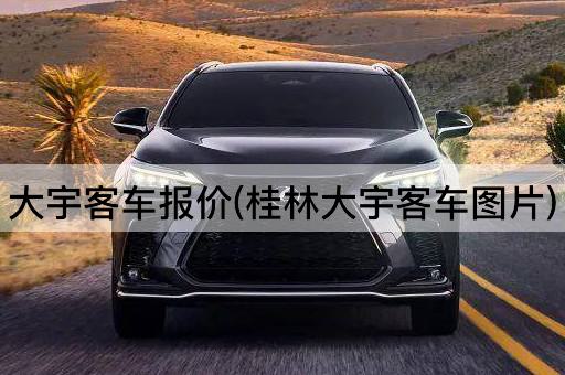 大宇客车报价(桂林大宇客车图片)