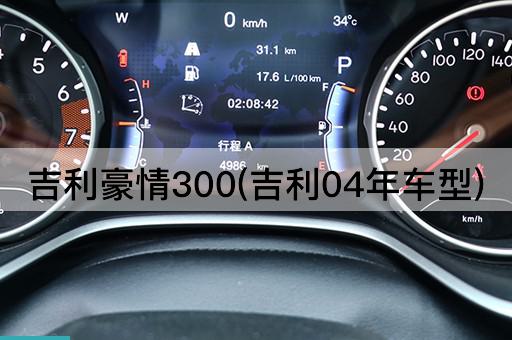吉利豪情300(吉利04年车型)