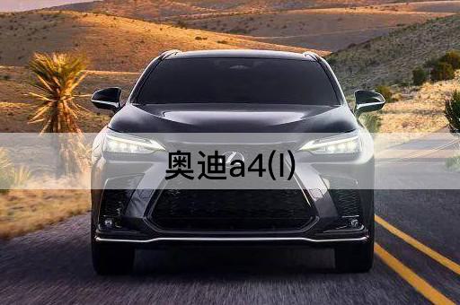 奥迪a4(l)