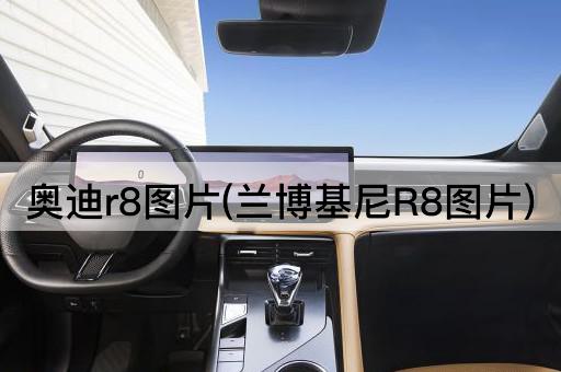 奥迪r8图片(兰博基尼R8图片)