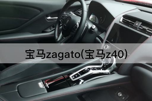宝马zagato(宝马z40)
