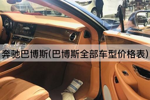 奔驰巴博斯(巴博斯全部车型价格表)