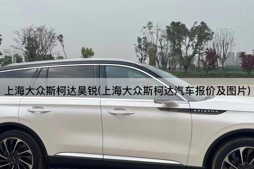 上海大众斯柯达昊锐(上海大众斯柯达汽车报价及图片)