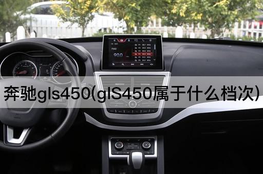 奔驰gls450(glS450属于什么档次)