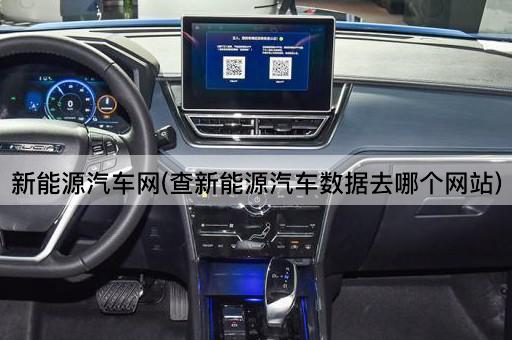 新能源汽车网(查新能源汽车数据去哪个网站)