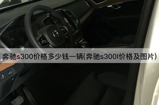 奔驰s300价格多少钱一辆(奔驰s300l价格及图片)