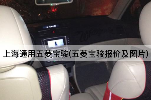 上海通用五菱宝骏(五菱宝骏报价及图片)
