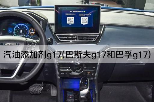 汽油添加剂g17(巴斯夫g17和巴孚g17)