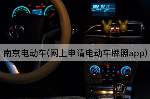 南京电动车(网上申请电动车牌照app)