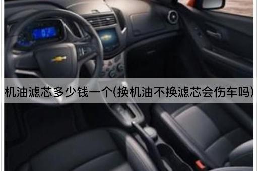 机油滤芯多少钱一个(换机油不换滤芯会伤车吗)