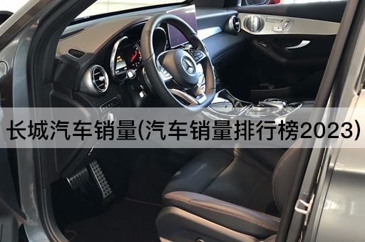 长城汽车销量(汽车销量排行榜2023)